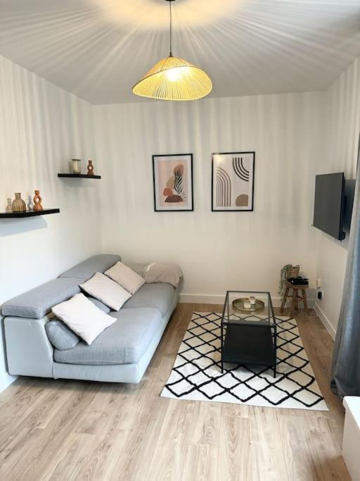 Appartement Eloi - 1 Chambre Mont-de-Marsan Εξωτερικό φωτογραφία